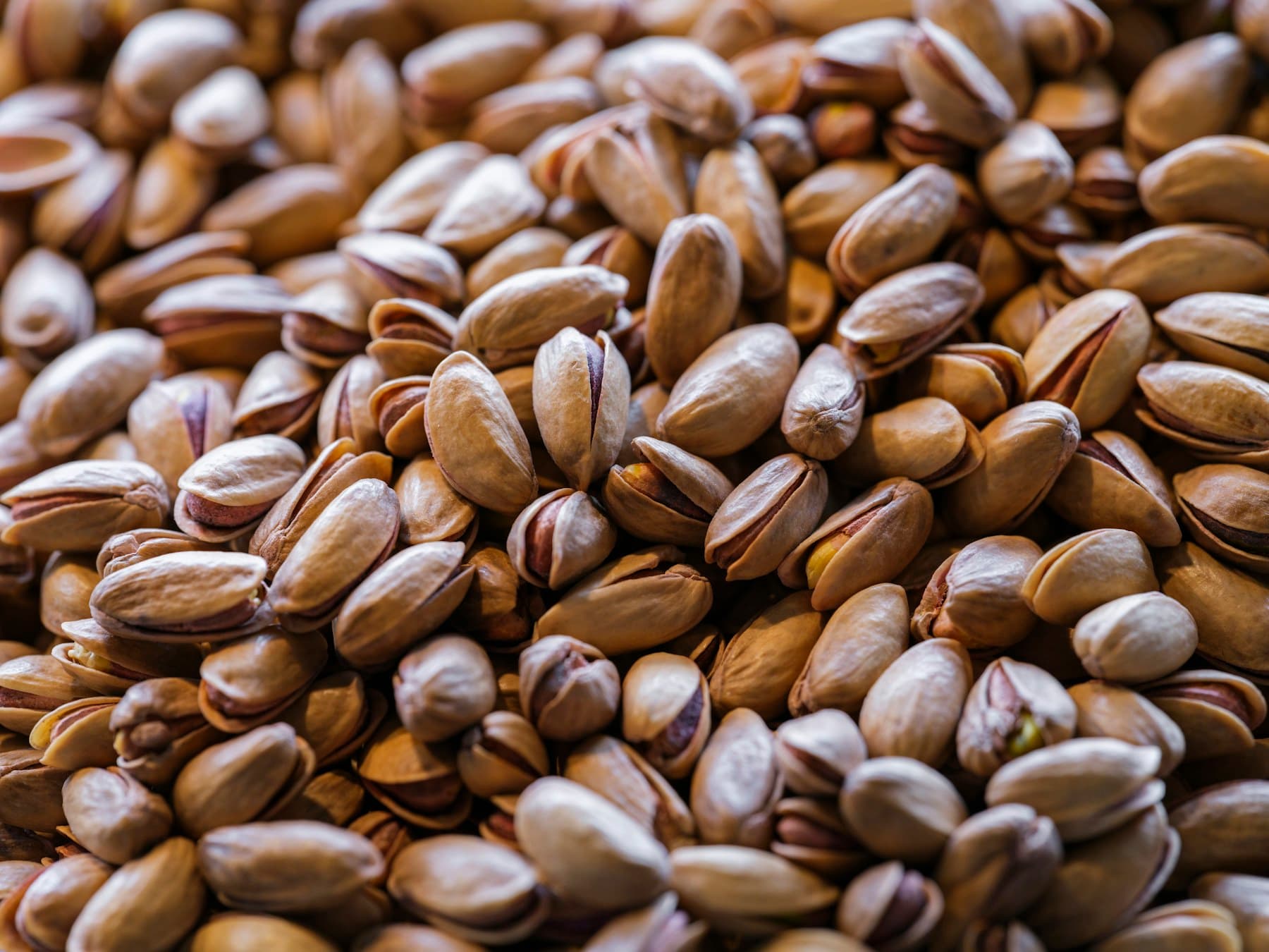 نمای نزدیک پسته آماده عرضه عمده